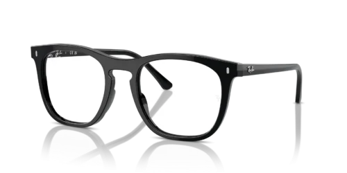 Ray-Ban RX2210V 2000 Black Acetate Frame